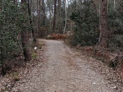 -青龙山国家森林公园