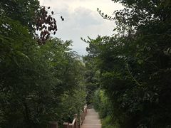 -香山公园
