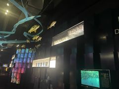 -同济大学四平路校区深海探索馆