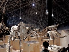 -世界恐龙谷景区