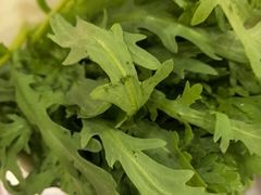 -草原传奇鲜羊火锅(桥北店)