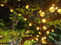 -LAMP BAR 水烟音乐酒吧