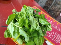 豌豆尖-生态牦牛王