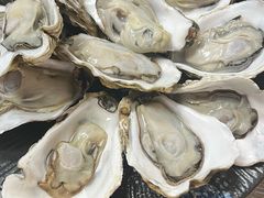 -鲁前海沿儿
