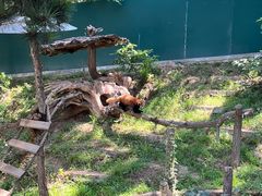 -大连森林动物园