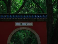 -灵谷景区