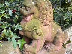 -峨眉山报国寺