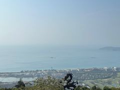 -三亚亚龙湾人间天堂鸟巢度假村