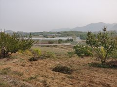 -密云玫瑰情园