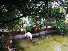-正佳雨林生态植物园