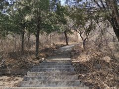 -北京西山国家森林公园