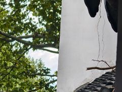 -莹珠阁·私房菜