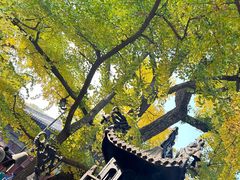 -红螺寺