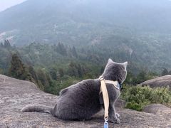 -玉苍山国家森林公园