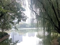 -杭州城北体育公园