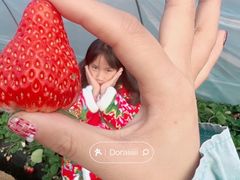 -阿林有机农庄