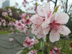 -九里河湿地公园