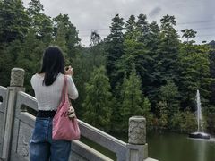 -广州市帽峰山景区
