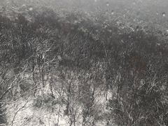 -紫金山索道-售票处