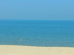 -海驴岛(荣成市)