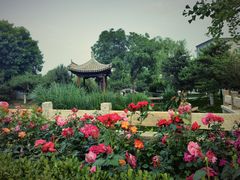 -春风习习
