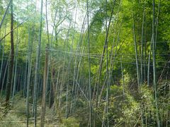 -会稽山峡洞漂流-上青古道