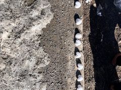 -太子岭滑雪场