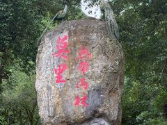 -莫里热带雨林景区