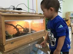 -123育儿园(百子湾校区)