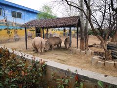 -西安秦岭野生动物园