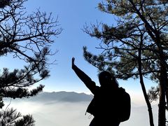 -太平万花山景区