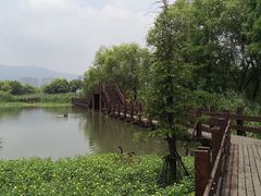 -长兴太湖图影湿地文化园