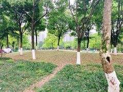-重庆彩云湖湿地公园