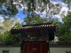 -宣武艺园