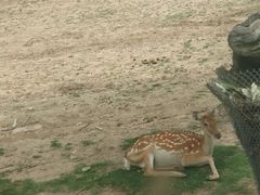 -西安秦岭野生动物园