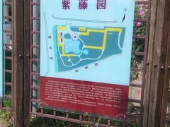-嘉定紫藤园