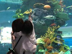 -福州罗源湾海洋世界旅游区