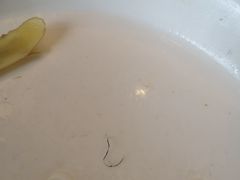 -老东吴食府(雅都店)
