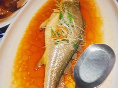 鸡汁蒸黄鱼-江南赋(内蒙古大厦店)