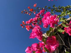 -优游吧斯邹族文化部落