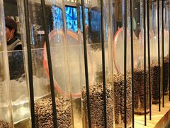 -喜茶(佛山顺德大良东乐路店)