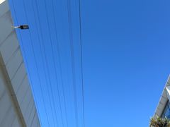 -五道口枣糕王(成府路店)