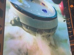 -桂满陇·海市蜃楼·黑金(国金店)