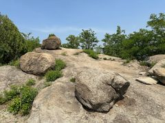 -白水寺森林公园