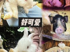 -正佳雨林生态植物园