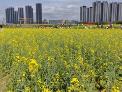 -光明小镇欢乐田园
