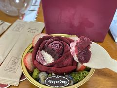 -哈根达斯(龙湖时代天街店)