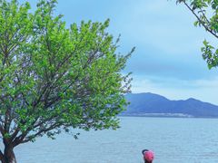 -东钱湖旅游度假区