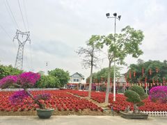 -广东花都香草世界旅游度假区