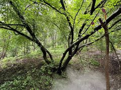 -帽儿山风景区
